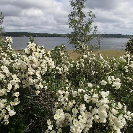 Vila Freja Dragsfjärd